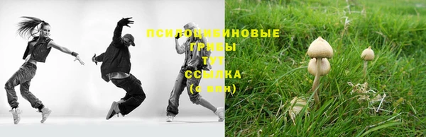 Альфа ПВП Богородицк