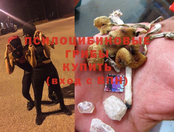 Альфа ПВП Богородицк