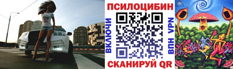наркотики  Михайлов  Галлюциногенные грибы мицелий 
