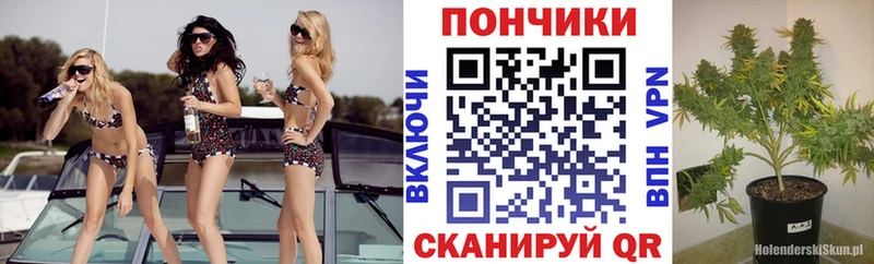 Бошки марихуана семена  Михайлов 